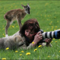 animal-photographer.webp