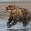 bear-gator.jpg