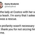 boy-on-leash.jpg