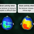 brain-activity-during-lecture.jpg