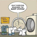 buddy-system.jpg