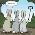 bunny-ears.jpg