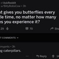 buying -catipillars.jpg