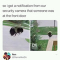 buzz-him-in.jpg