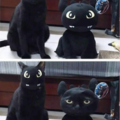 cat-face-swap.png