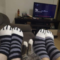 cat-feet.jpg