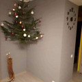 cat-xtree.jpg