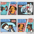 dog-911.jpg