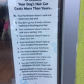 dog-haircut-cost.jpg