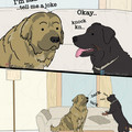 dog-knock-knock.jpg