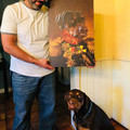 dog-portrait.jpg