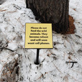 dont-feed-the-animals.jpg