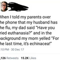 echinacea.jpg