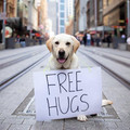 free-hugs.jpg