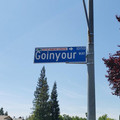 goinyourway.jpg
