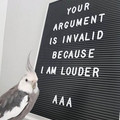 i-am-louder.jpg