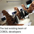 last-cobal-devlopers.png