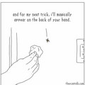 magic-spider.jpg