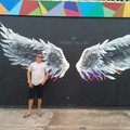 missed-wings.jpg