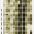 most-common-birth-dates.jpg