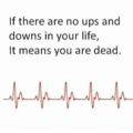 no-ups-or-downs.png