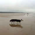 panarama-doc.jpg