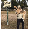 pick-up-dog-poop.png