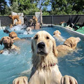 pool-party.jpg