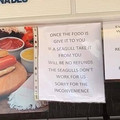 seagull-food.jpg