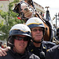smiling-horse.jpg
