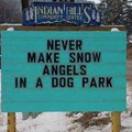 snow-angels.jpg