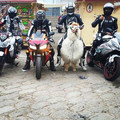 start-a-race.jpg