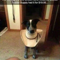 tractor-supply-cone.jpg