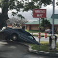 wrong-way.jpg